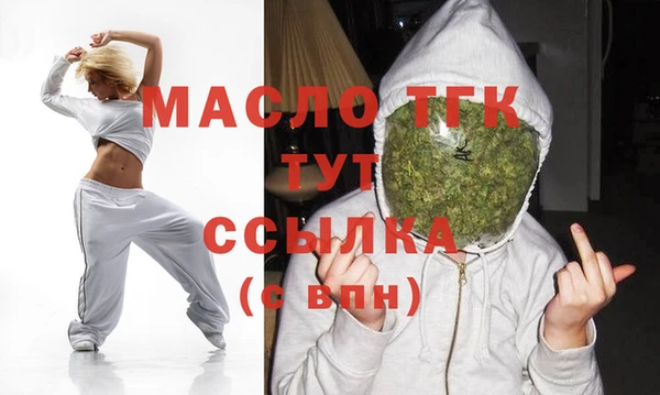 mix Богородицк